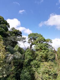 Nationalpark Arenal