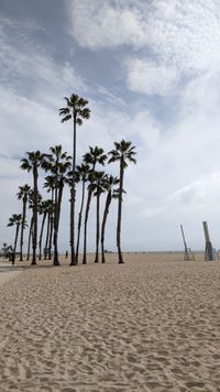 Venice Beach