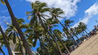 Waikīkī Beach