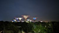 Gardens by the Bay