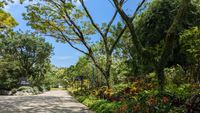 Gardens by the Bay