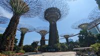 Gardens by the Bay