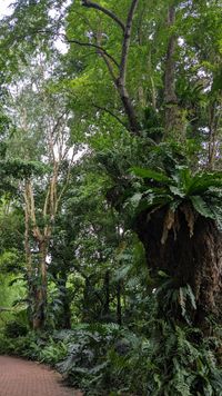 Fort Canning Park