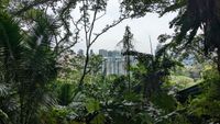 Fort Canning Park