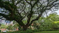 Fort Canning Park