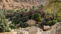 Wadi Shab