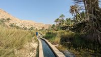 Weg zum Wadi Bani Khalid