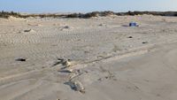 M&uuml;ll am Strand Al Khaluf