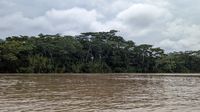 Rio Madre de Dios