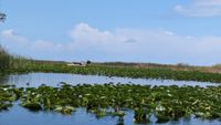 Everglades-Nationalpark