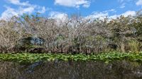 Everglades-Nationalpark